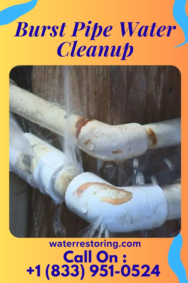 Burst Pipe Water Cleanup in Glenville, WV