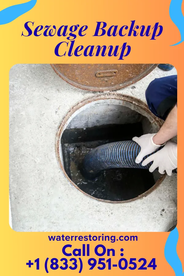 Sewage Backup Cleanup in Glenville, WV